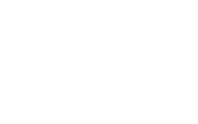 Consport